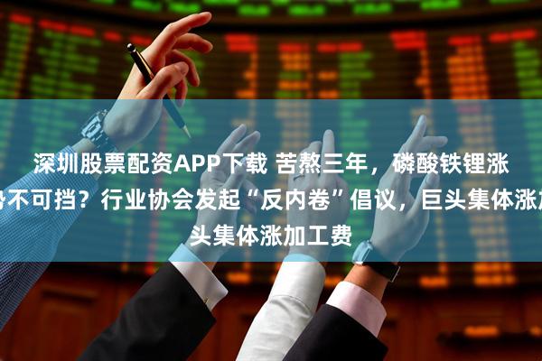 深圳股票配资APP下载 苦熬三年，磷酸铁锂涨价已势不可挡？行业协会发起“反内卷”倡议，巨头集体涨加工费